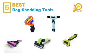 Best Dog Shedding Tools (2022)