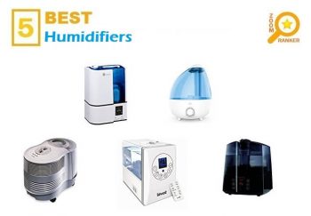 Best Humidifiers (2022)