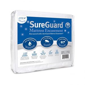 The Marsee Car Phone Mount